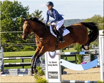 horse jumping fence