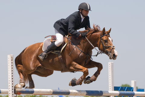 horse and riding jumping fence