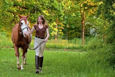 girl leading horse in a meadow