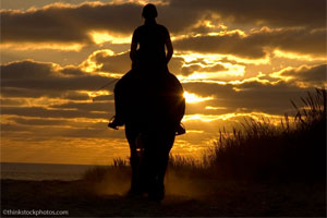 horse and rider at sunset