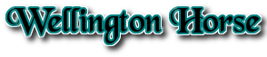 wellington horse logo