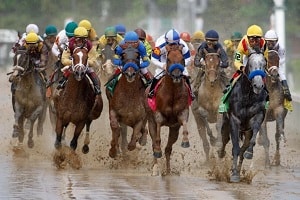 horses racing
