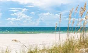 florida beach scene with sea oats in the foreground