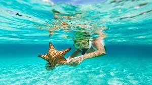 A young girl snorkeling and holding a starfish =
