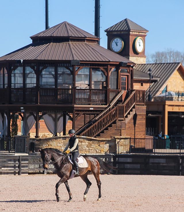 Horse rider at Tryon International