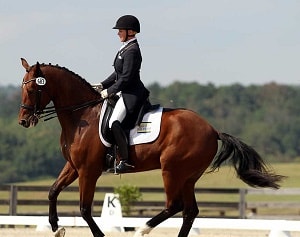 Tryon International Equestrian Center dressage shows